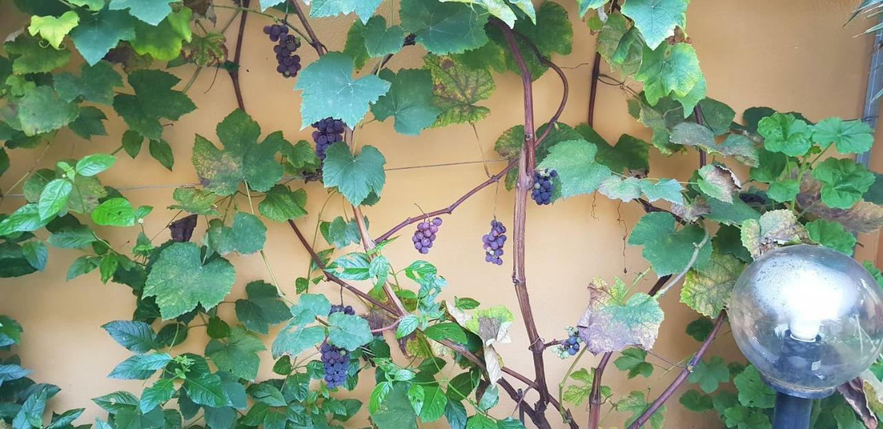 Casa Vacanze Rose E Fiori Sardegna ซาน วิโต ภายนอก รูปภาพ